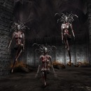 Thumb 52f0528d8da5721155000001