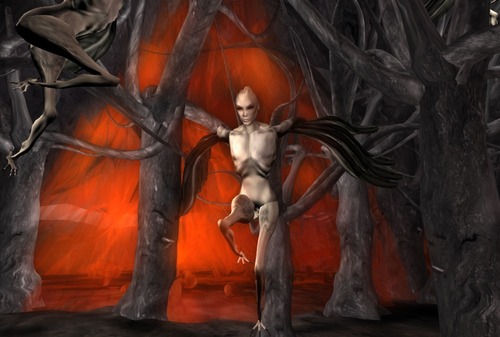 Web 52f0538ba73e21682f000001