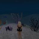 Thumb 5cec3e87289dd2133e000001