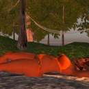 Thumb 53cff820a73e21430e000001