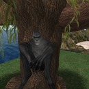 Thumb 53d29080a73e210400000001