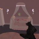 Thumb 544a9fb1f8a1ec2743000001