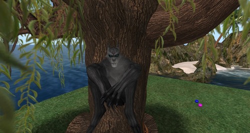 Web 53d29080a73e210400000001