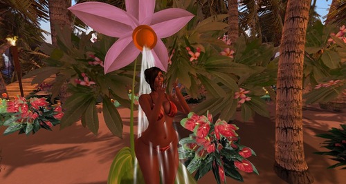 Web 53d7c66b8da57271af000001