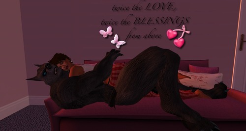 Web 544d148e8da5726176000001