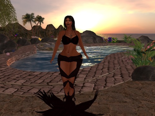 Web 5213a73a9838cd4b6f000001