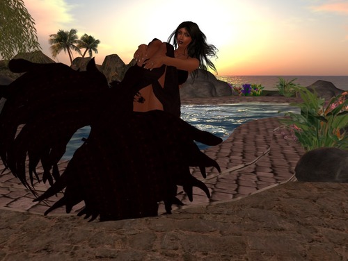 Web 5213a753be53b72d34000001