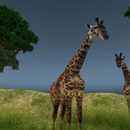 Thumb 52ef1028a73e21414e000001