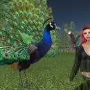 Thumb 5e75b8dd289dd26633ff175d