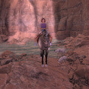 Thumb 647c9e72f3b6683fd1950345