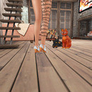 Thumb 64ab3b343b118a0343fcb462