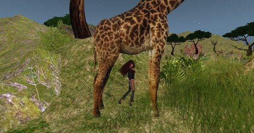 Web 52ef10b78da5722252000001