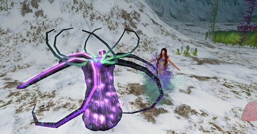 Web 52f203378da572560e000001