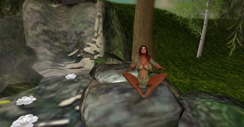 Web 53045c12a73e211749000001