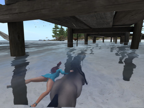 Web 64433627f3b66878e9950345