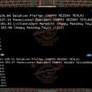 Thumb 549ea3d3a73e2119ff000001