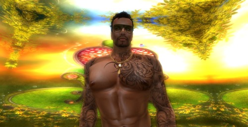 Web 5414bb0d128cc9737d000001