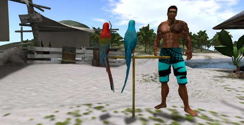 Web 551c60d5a73e211c72000001