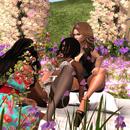 Thumb 58d57c6c289dd260f5000001