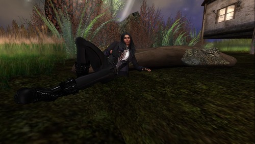 Web 52642cbc97cd2c4bb2000001