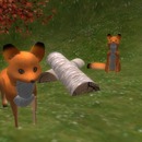 Thumb 512f11462304167243000001