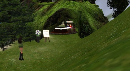 Web 512f181df1ff4829d5000001