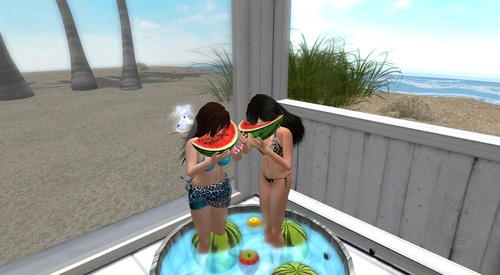 Web 51efe0665fb2c6145a000001