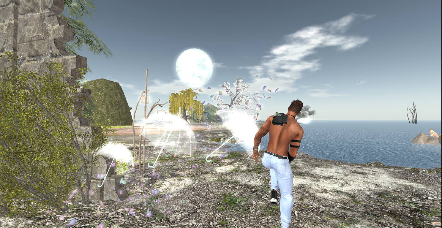 Original 61f2aadd11ddef379f5ff12a