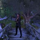 Thumb 6128e6c5969a6646102d3d39