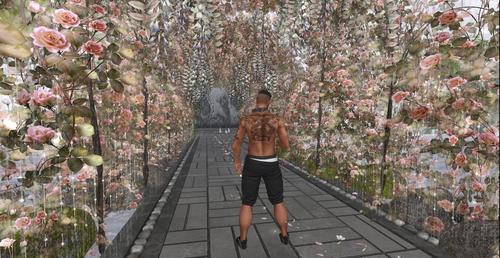 Web 612c0cf643e927256cf6e6f8