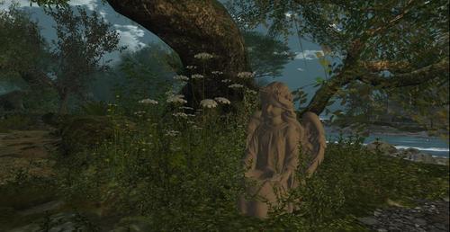 Web 613a286e31b78c2b36935b4a