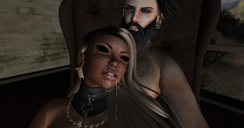 Web 55063663a73e211c70000001