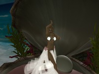 Small 56bff32676408b3ac5000001