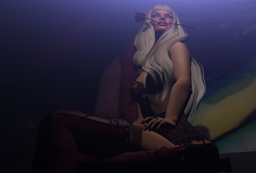 Web 58a98162b713f74f6a000001