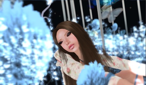 Web 4ff315a9b143fc3880000001