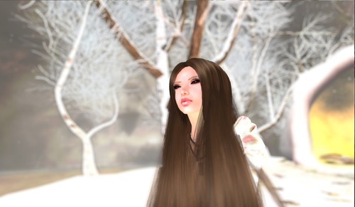 Web 4ff32074e54a4f7eeb000001