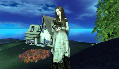 Web 4ff472b62546ee0616000001