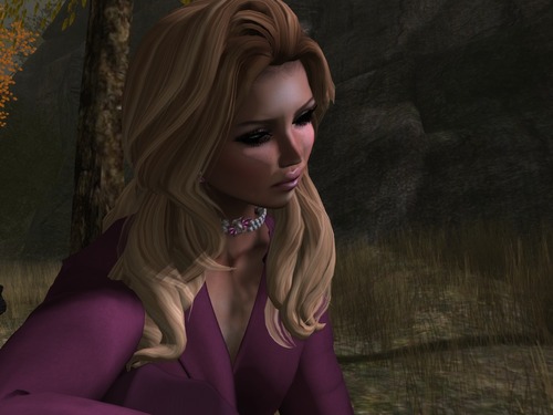 Web 543d1d5a128cc93e6a000001