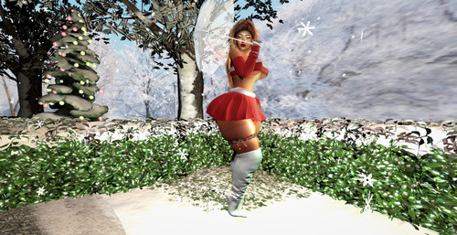 Web 65703ee35ca51929f7172fe3