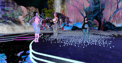 Web 66edc337c892c859ed846f77