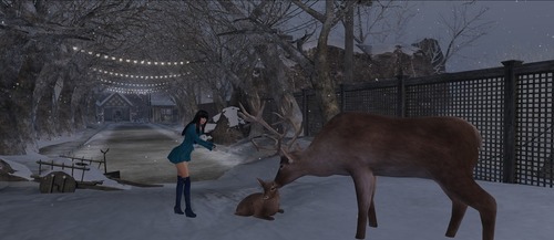 Web 548afea48da5725ad0000001