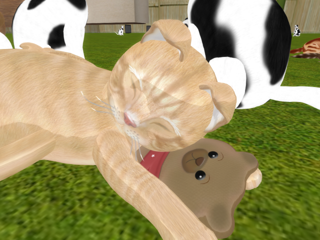 Original 662734ce9f2bcf0161ca7b7b