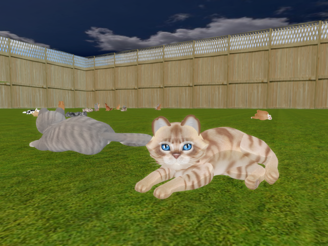 Original 6632f787366b4648141d3f1b