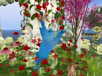 Small 661f63585d1cd0249b96918e