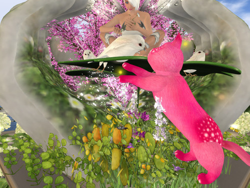 Web 661f61eda8e7b70290cddc82