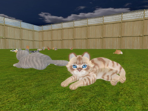 Web 6632f787366b4648141d3f1b