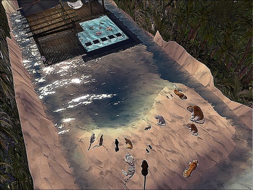 Web 56355081128cc95e59000001