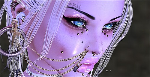 Web 57e7bdd5e85cda6c42000001