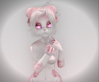 Small 56c0b25776408b0523000001