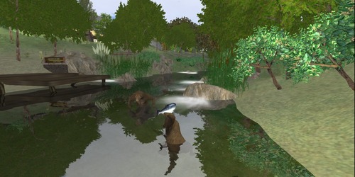 Web 51b028a5660a311578000001